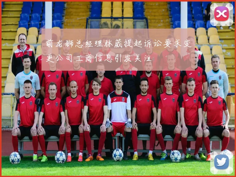 前龙狮总经理林葳提起诉讼要求变更公司工商信息引发关注